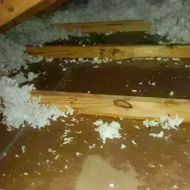 Attic Water Damage in Athol, MA