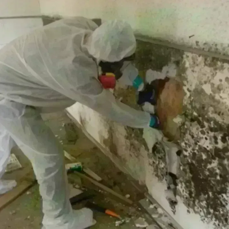 Mold Remediation and Removal in Athol, MA